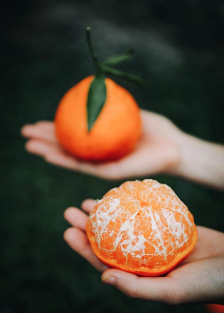 Chun Jian Mandarin Export – ส้มหวานฉ่ำสำหรับตลาดโลก