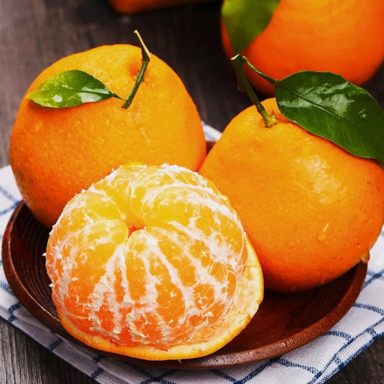 ส้ม Papagan สำหรับซูเปอร์มาร์เก็ตและตลาดผลไม้