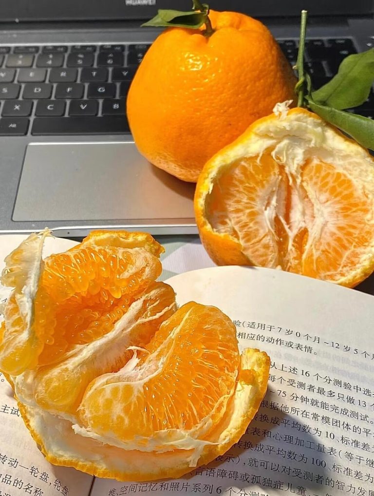 ผู้ส่งออกส้ม Papagan จีน – ผลไม้ส้มคุณภาพสูงสำหรับตลาดเอเชีย