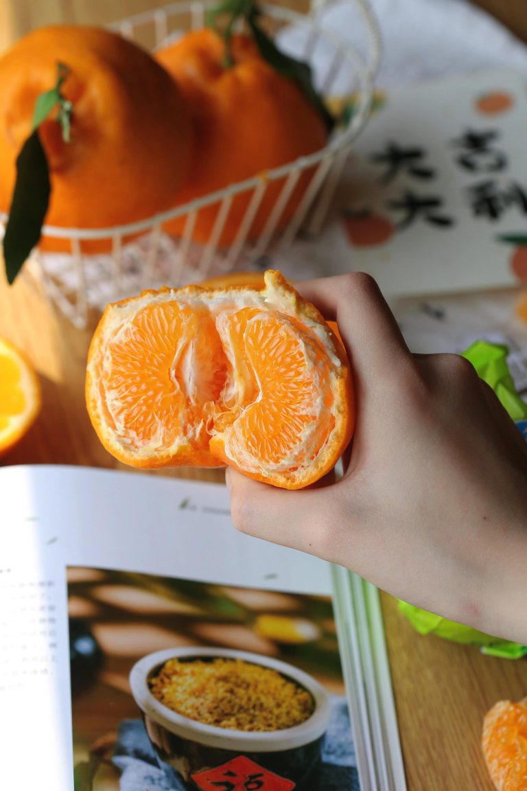 แนวโน้มราคาส้มชุนเจียน 2025 สำหรับผู้นำเข้า