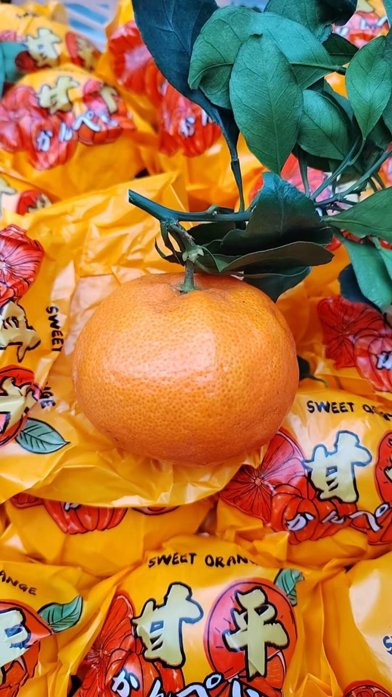 ส้ม Ganping จากจีน: ความหวานสูงและอายุการเก็บรักษายาวนาน