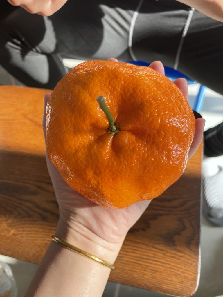 ส้ม Ganping จากจีน: ความหวานสูงและการเก็บรักษาที่ยาวนาน