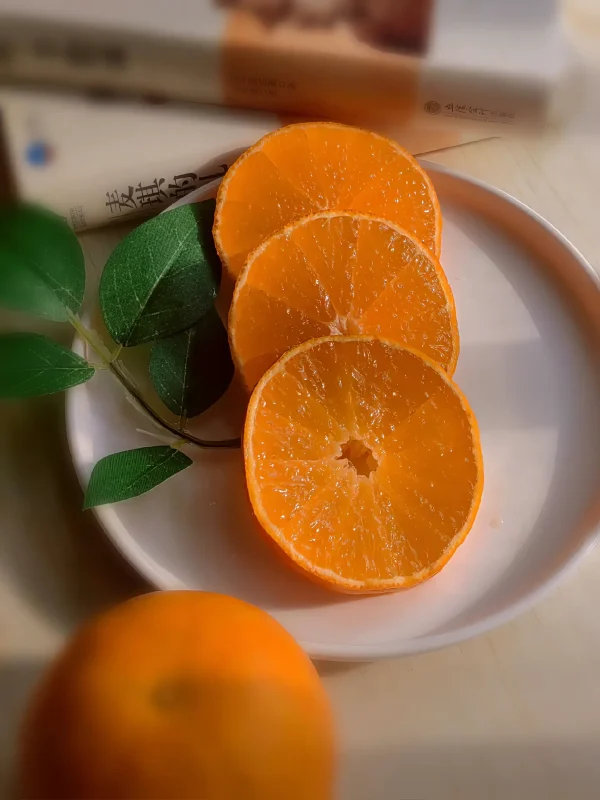 ส้มเอฮิเมะเจลลี่ (Ehime Jelly Orange) - Image 3